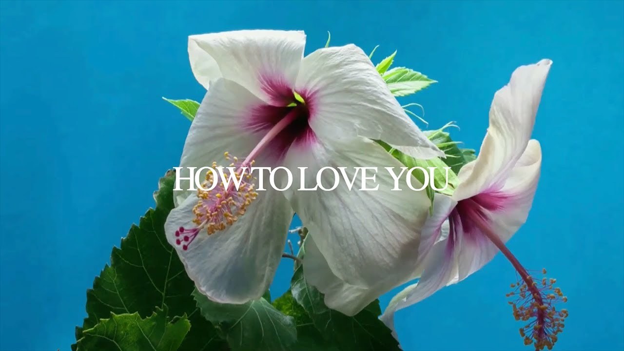 How To Love You