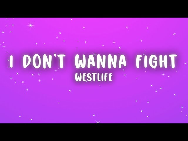 I Don't Wanna Fight
