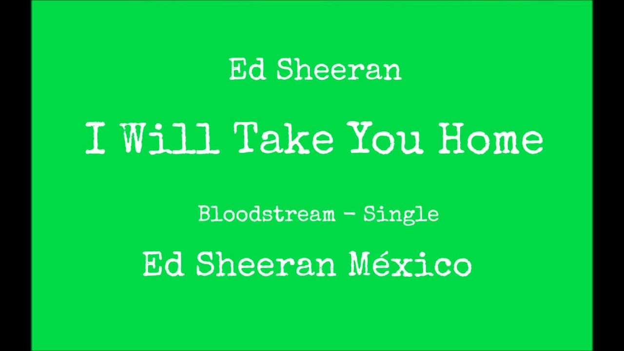 i will take you home