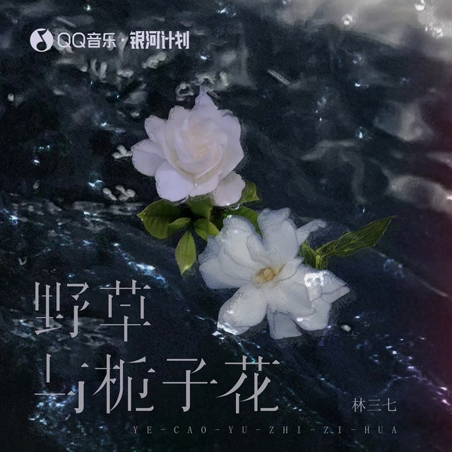 野草与栀子花 