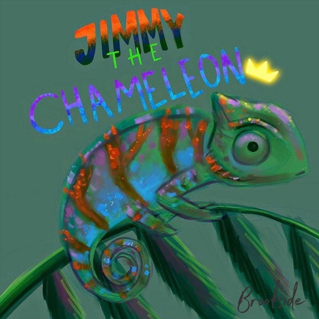 Jimmy The Chameleon