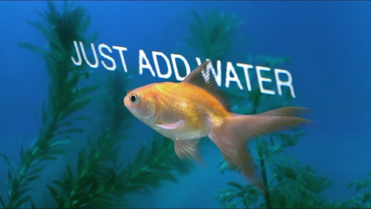 Just Add Water