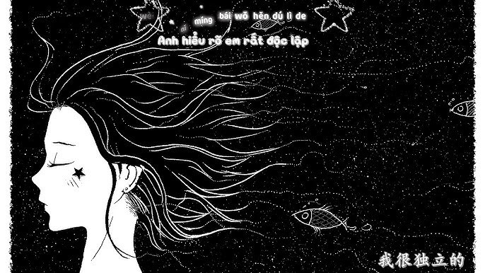 Khoảnh khắc gặp được anh, ngàn sao trên trời rơi xuống nơi em (遇见你的时候所有星星都落到我头上)