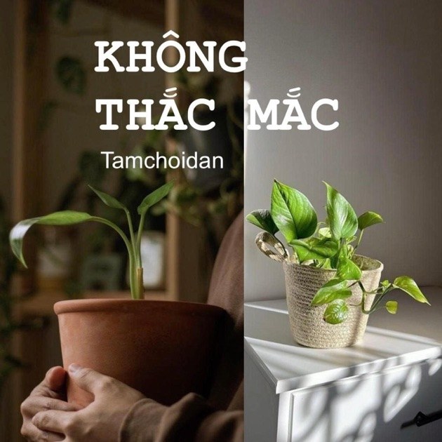 Không Thắc Mắc