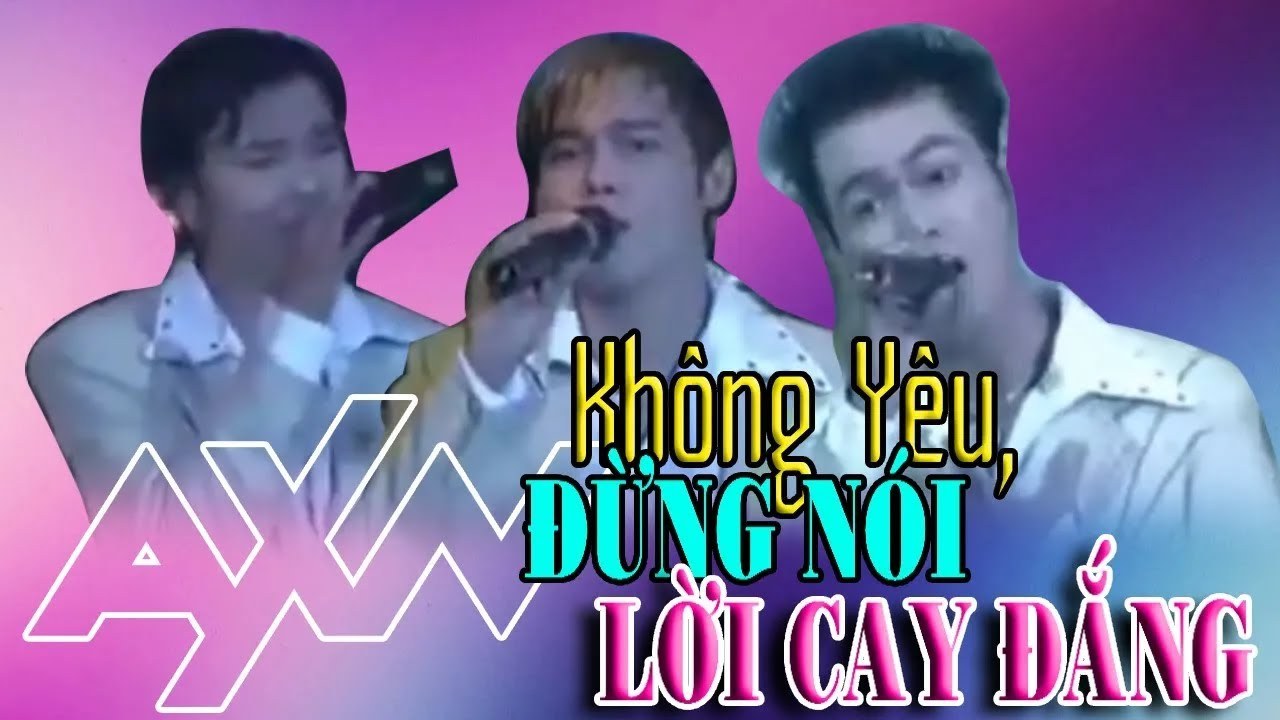Không Yêu Xin Đừng Nói Lời Cay Đắng