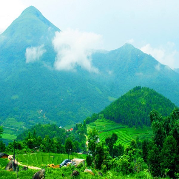 LÁ RƠI CUỐI CHIỀU