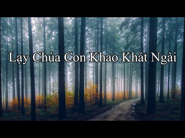 lạy Chúa con khao khát Ngài