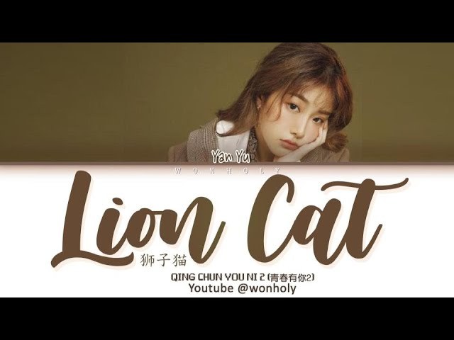 Lion Cat (狮子猫)