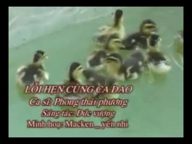 Lỗi hẹn cùng ca dao