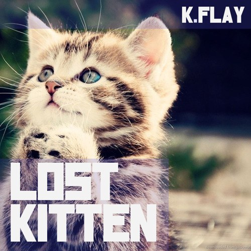 Lost Kitten