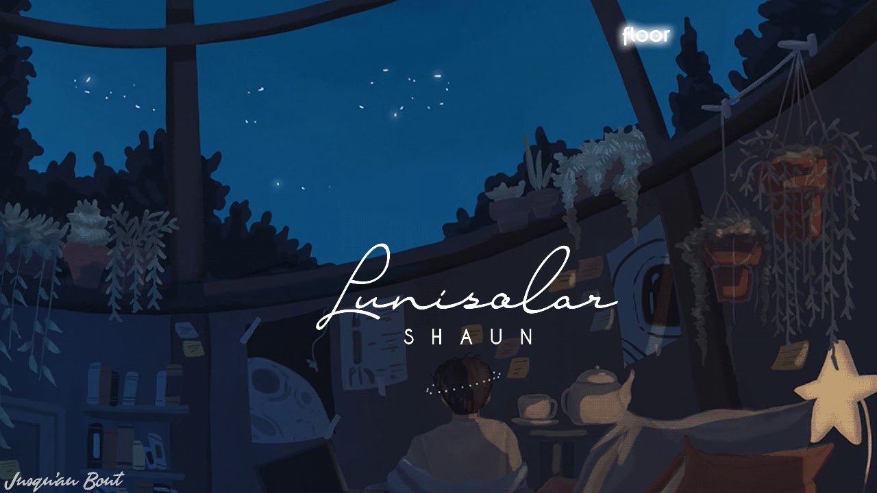 Lunisolar