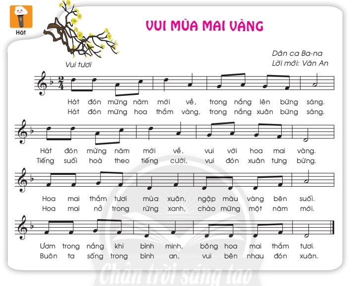 Mai Vàng Sáu Cánh  