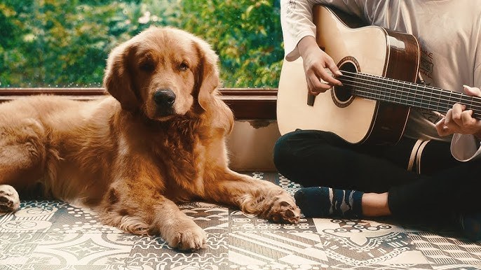 Mashup Nước Mắt Em Lau Bằng Tình Yêu Mới- Anh Muốn Nghe Giọng Em Nói