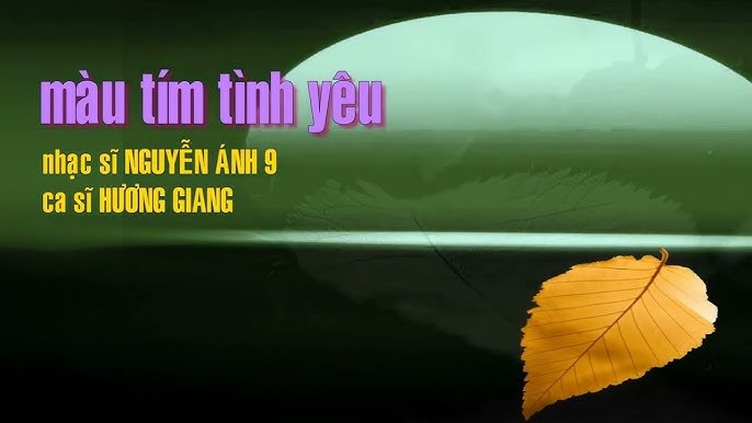 Màu tím tình yêu