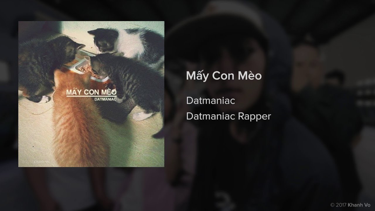 Mấy con mèo