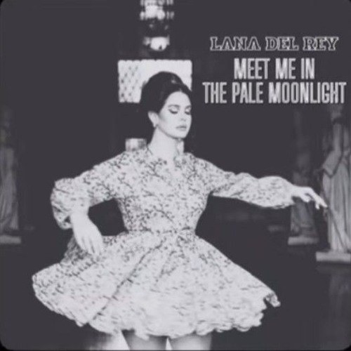 Meet me in the pale moonlight