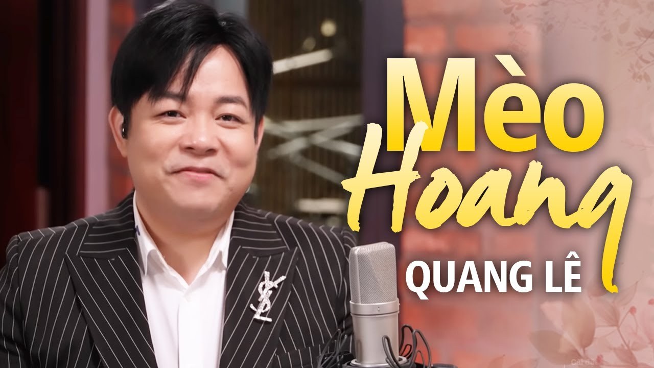 Mèo Hoang