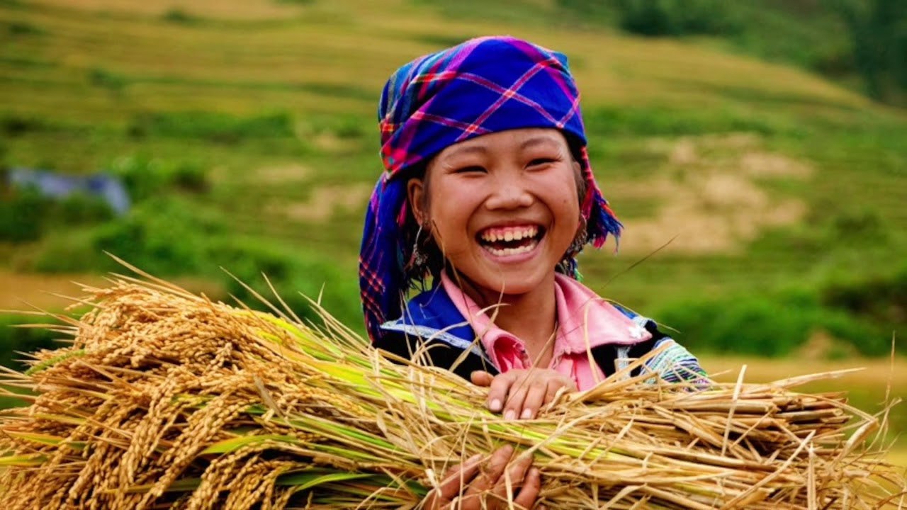 Miền quê tuổi thơ tôi