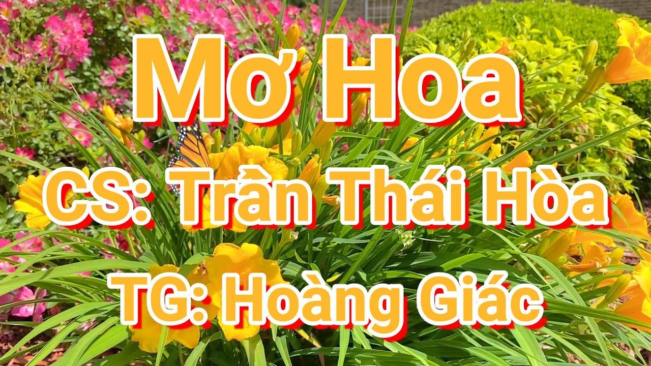 Mơ Hoa