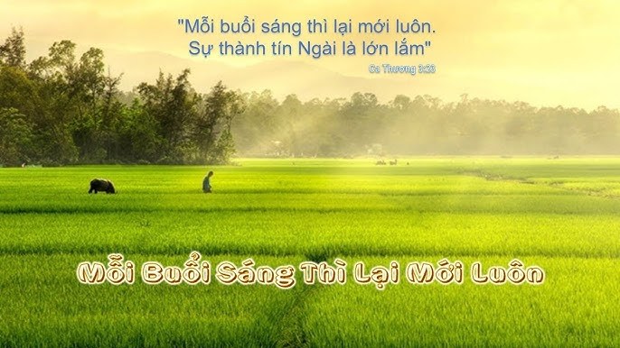 Mỗi buổi sáng thì lại mới luôn