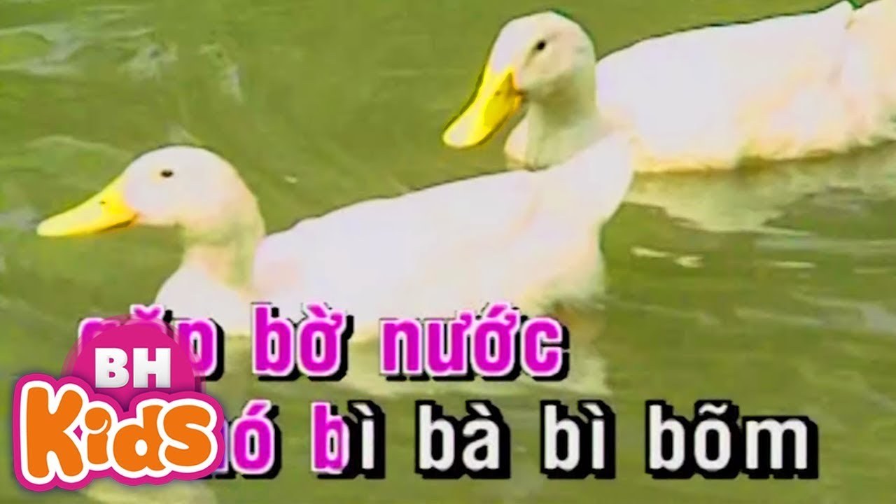 Một Con Vịt