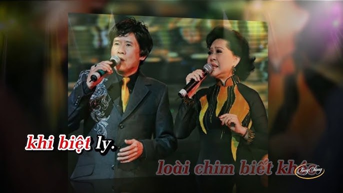 Một loài chim biển
