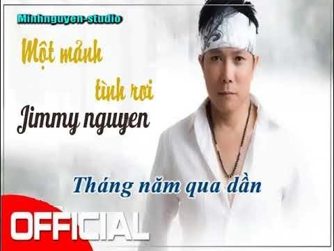 Một Mảnh Tình Riêng