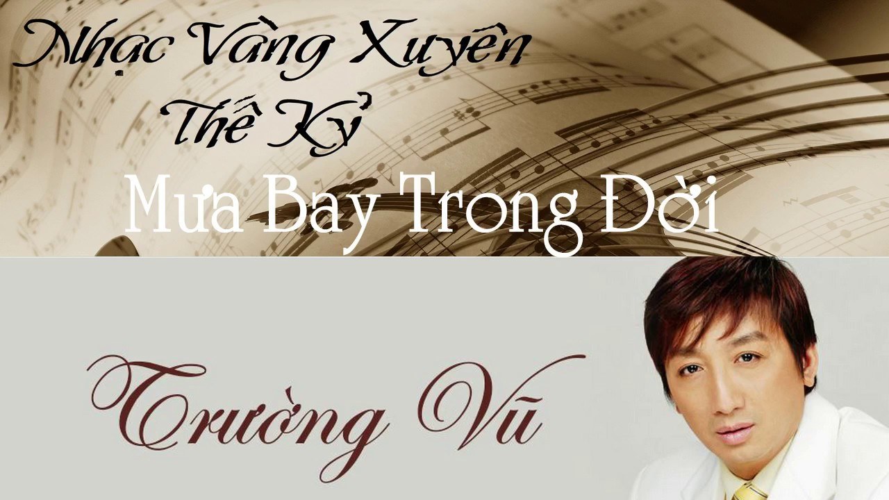 Mưa bay trong đời