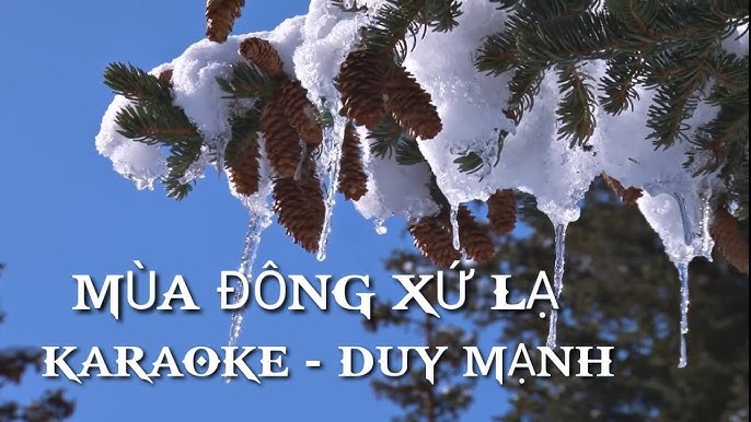 Mùa đông xứ lạ