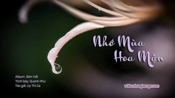 Mùa hoa mận