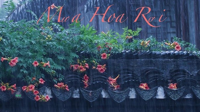 Mưa Hoa Rơi (花雨落)