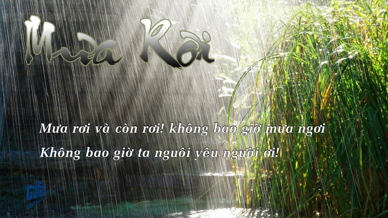 Mưa rơi