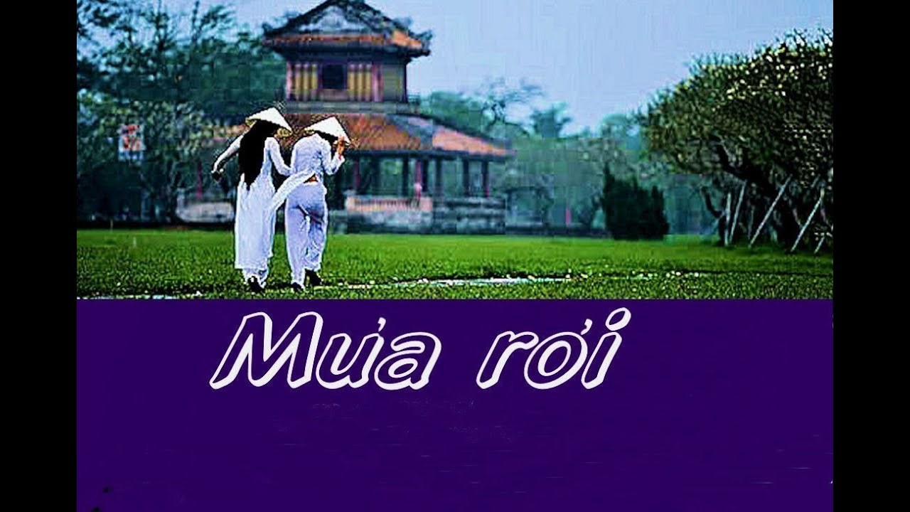 Mưa rơi 
