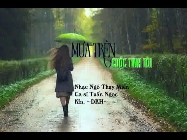 Mưa trên cuộc tình tôi