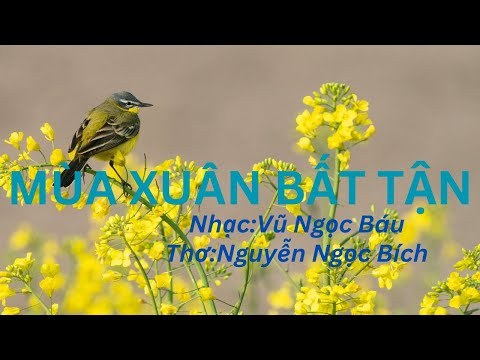 Mùa Xuân Bất Tận