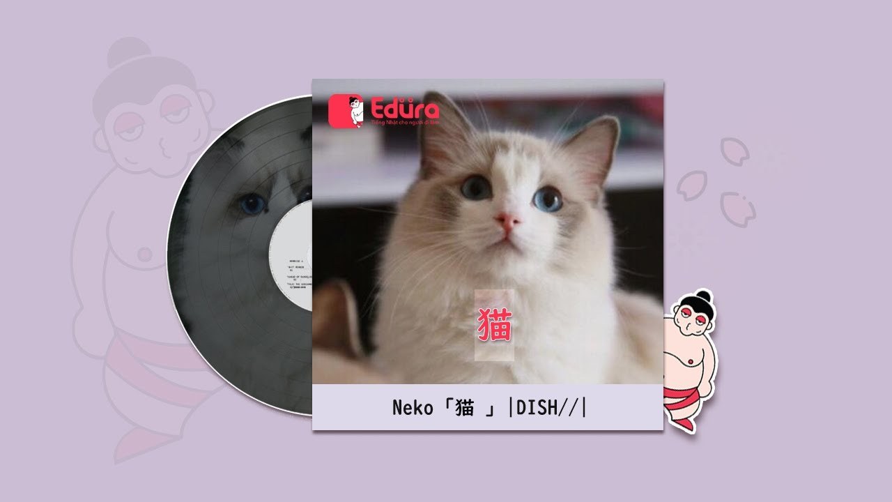 Neko