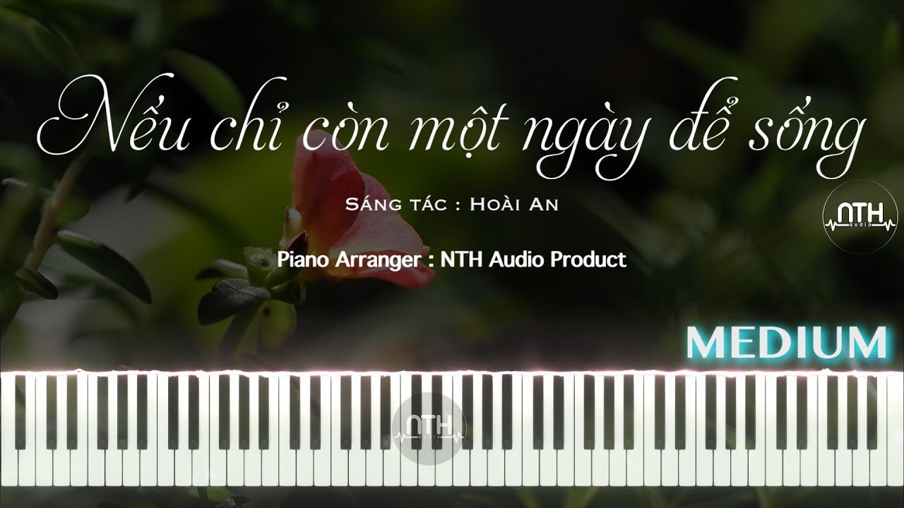 Nếu Chỉ Còn Một Ngày