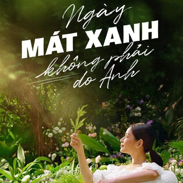 Ngày Mát Xanh Không Phải Do Anh