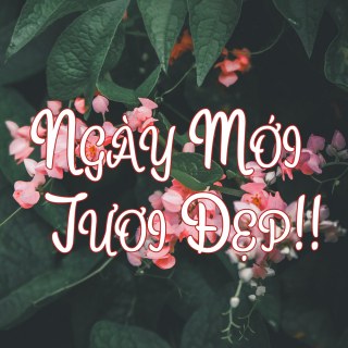 Ngày Mới Tươi Đẹp