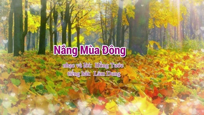 NGÀY NẮNG NGÀY MƯA