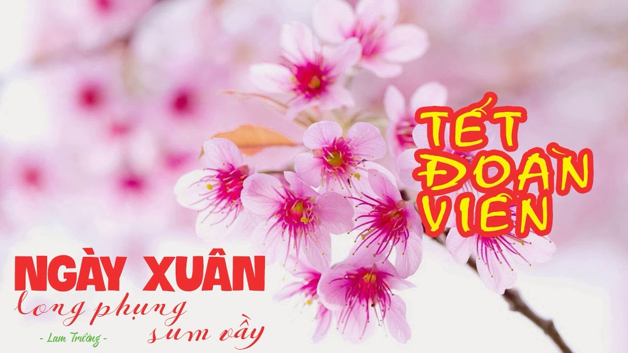 Ngày Xuân Long Phụng Sum Vầy