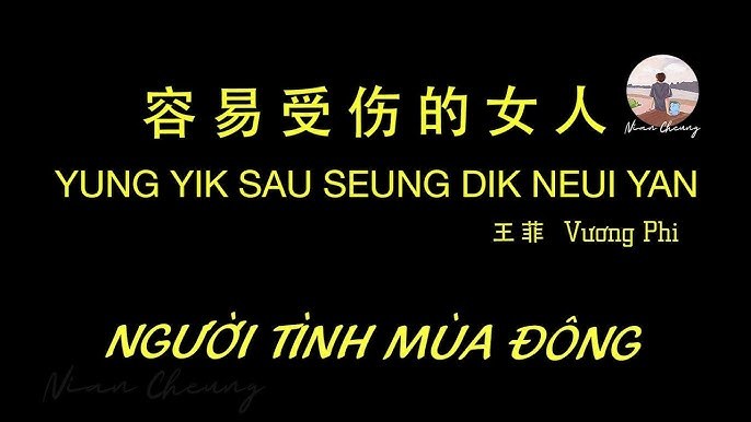 Người Tình Mùa Đông (容易受伤的女人)
