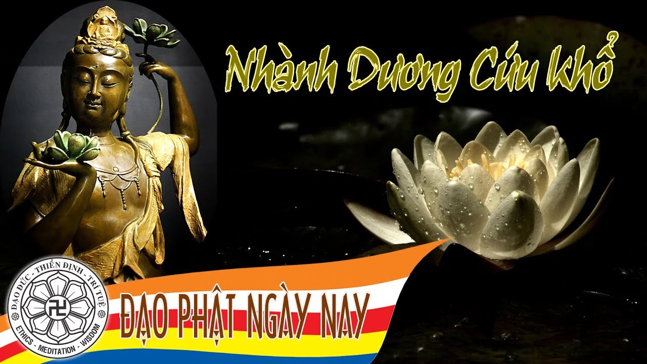 Nhành dương cứu khổ