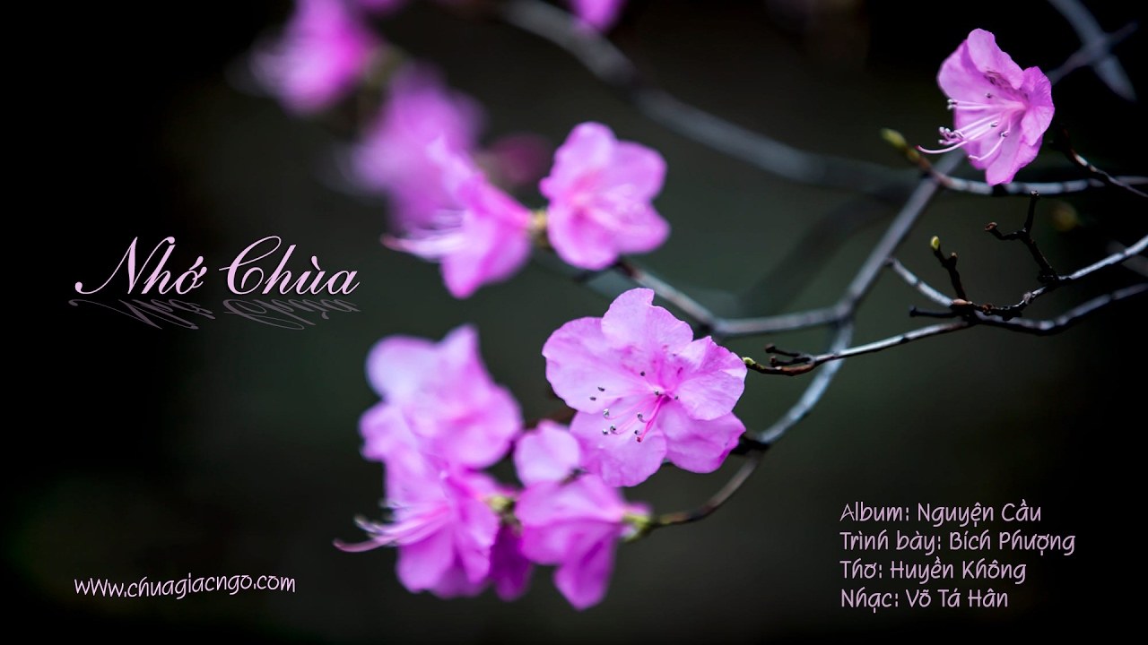 Nhớ chùa