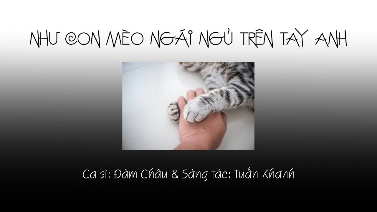 Như Con Mèo Ngái Ngủ Trên Tay Anh