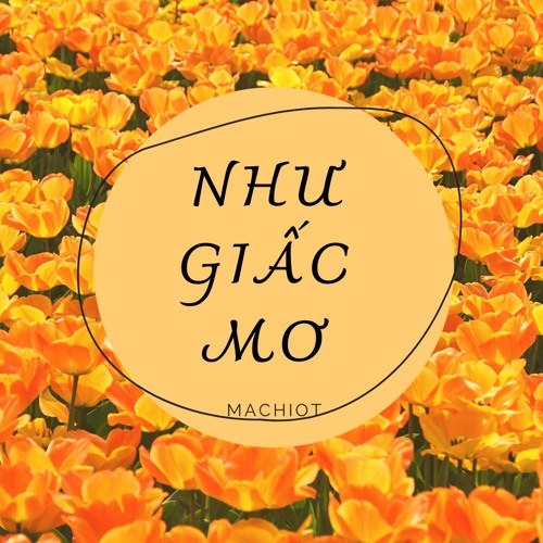 Như Giấc Mơ