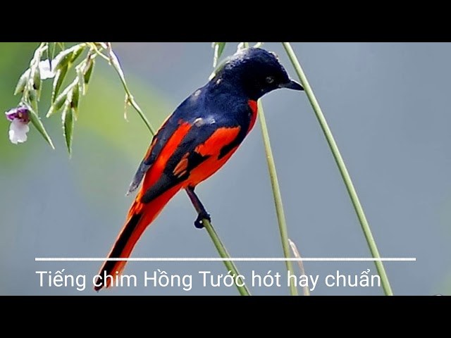 NHỮNG CÂU HỎI CÒN LẠI