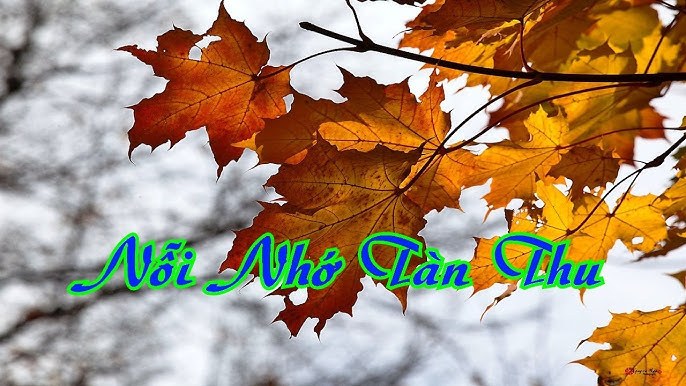 Nỗi nhớ tàn thu