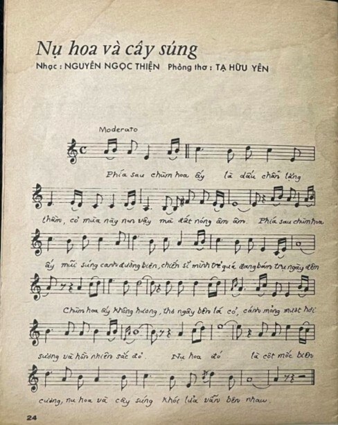 Nụ Hoa Và Cây Súng