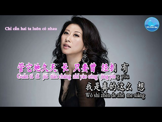 Nụ hồng mong manh (Đã từng đau lòng - 曾经心痛)